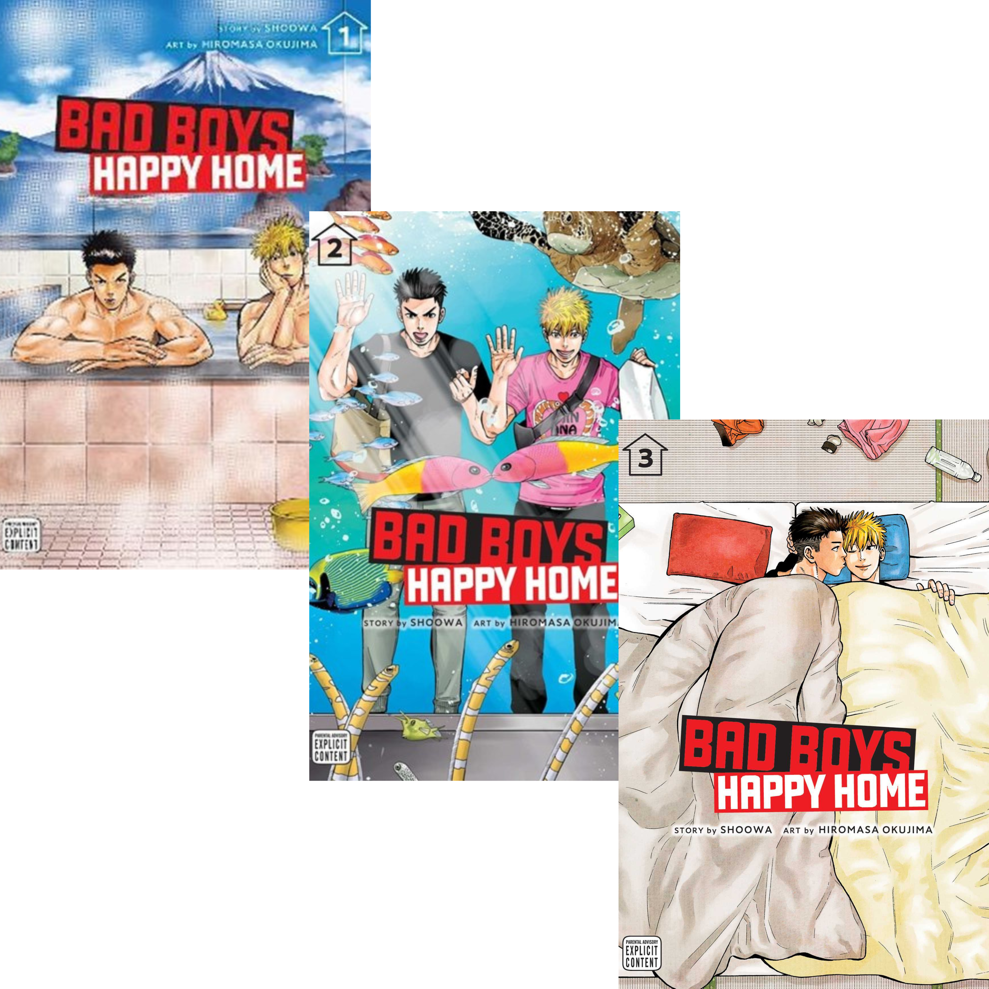 Bad Boys, Happy Home Vol 1-3 Manga Bundle