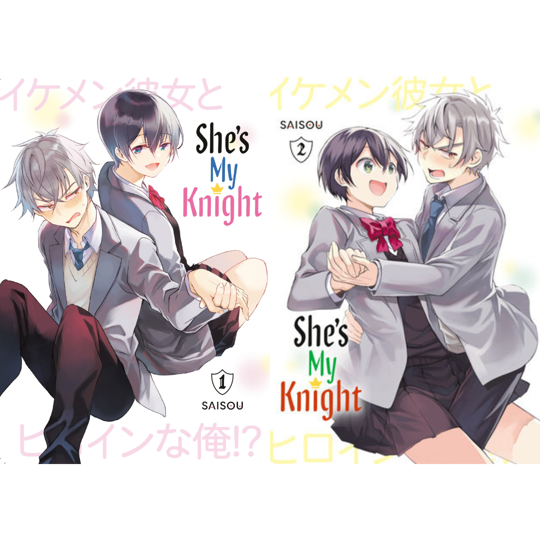 She's My Knight Vol 1-2 Manga Bundle